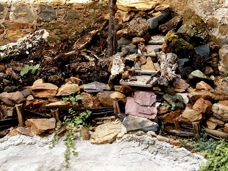 Il Laghetto del Centro di Entomologia - Piombino (LI)